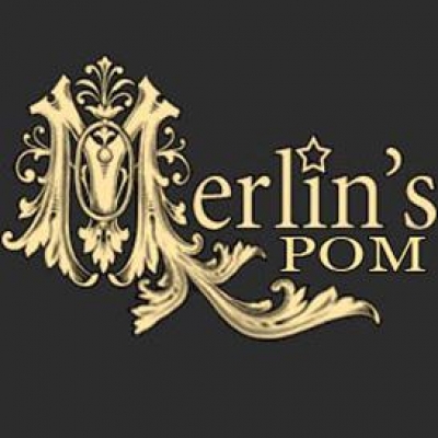 Развъдник за померани Стара Загора - Merlin's Pom