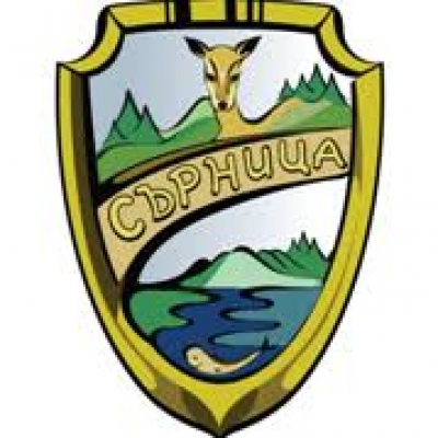 Община Сърница