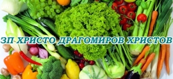 ЗП Христо Драгомиров Христов