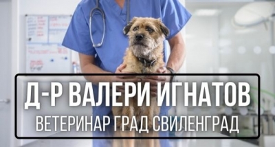 Д-р Валери Игнатов - ветеринар град Свиленград