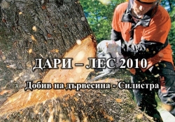 Дари Лес 2010 ООД