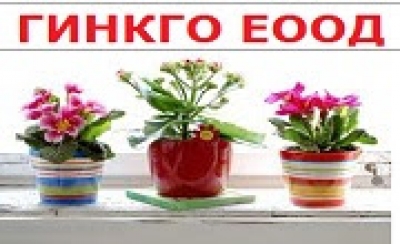 ГИНКГО ЕООД - оранжерия и терасни декоративни елементи Габрово